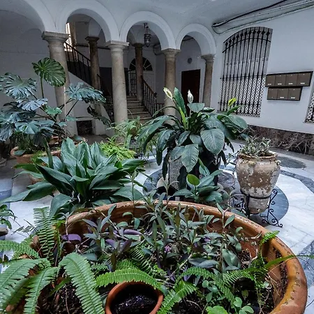 Apartment Atico Del Vigia